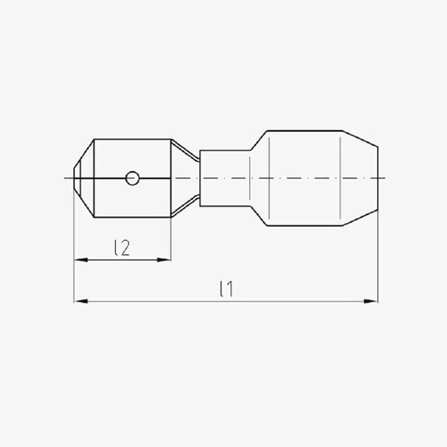 FSS_1_original
